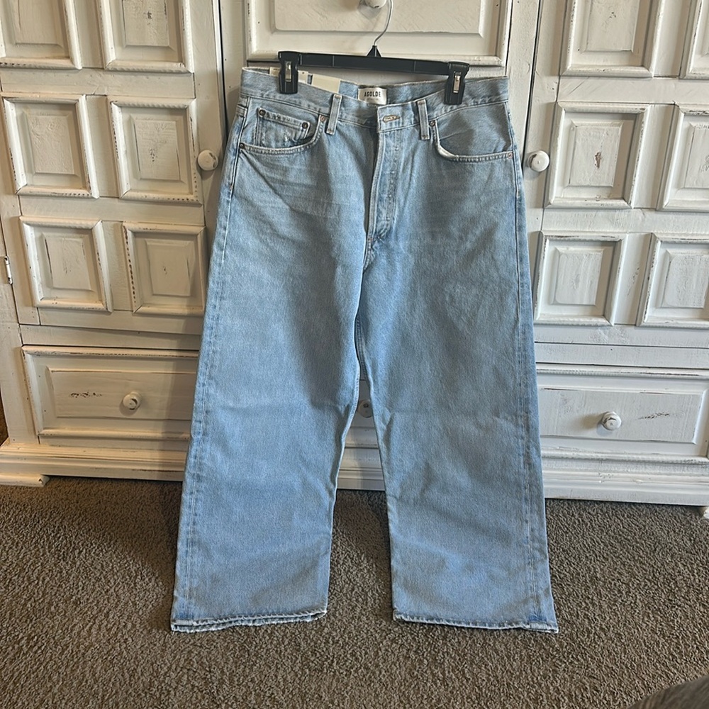 agolde low rise baggy